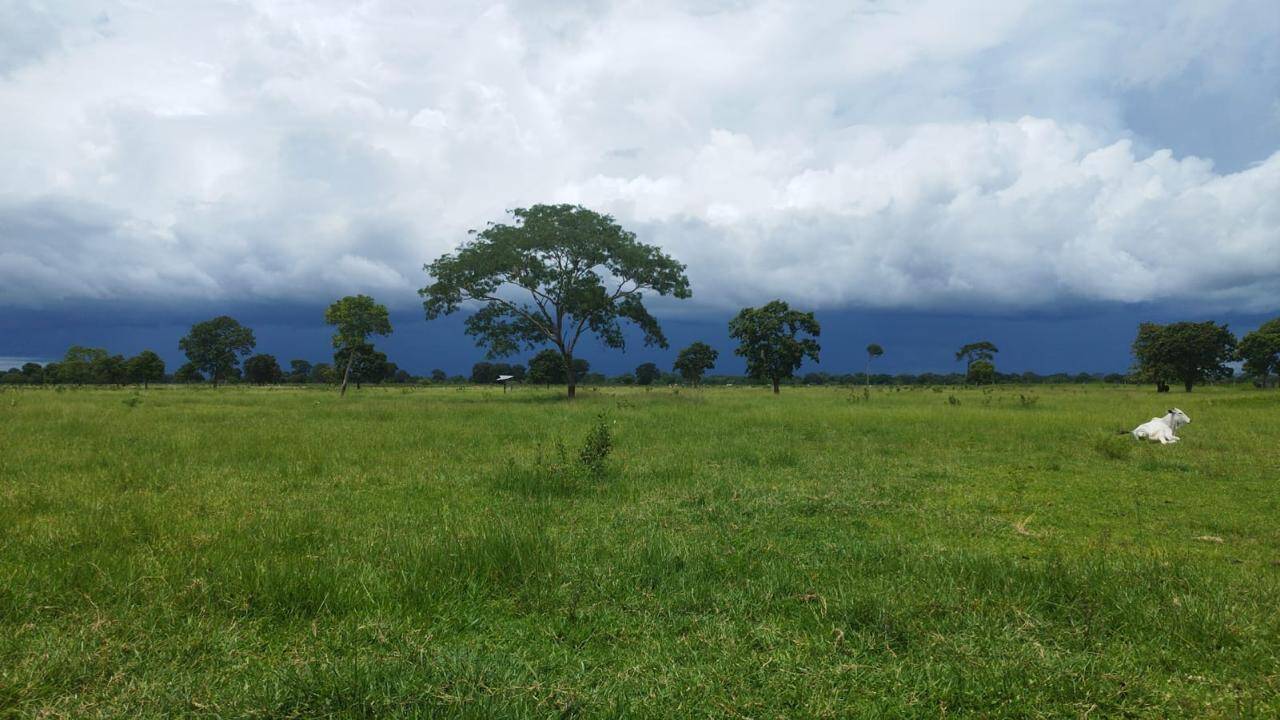 Terreno à venda - Foto 3