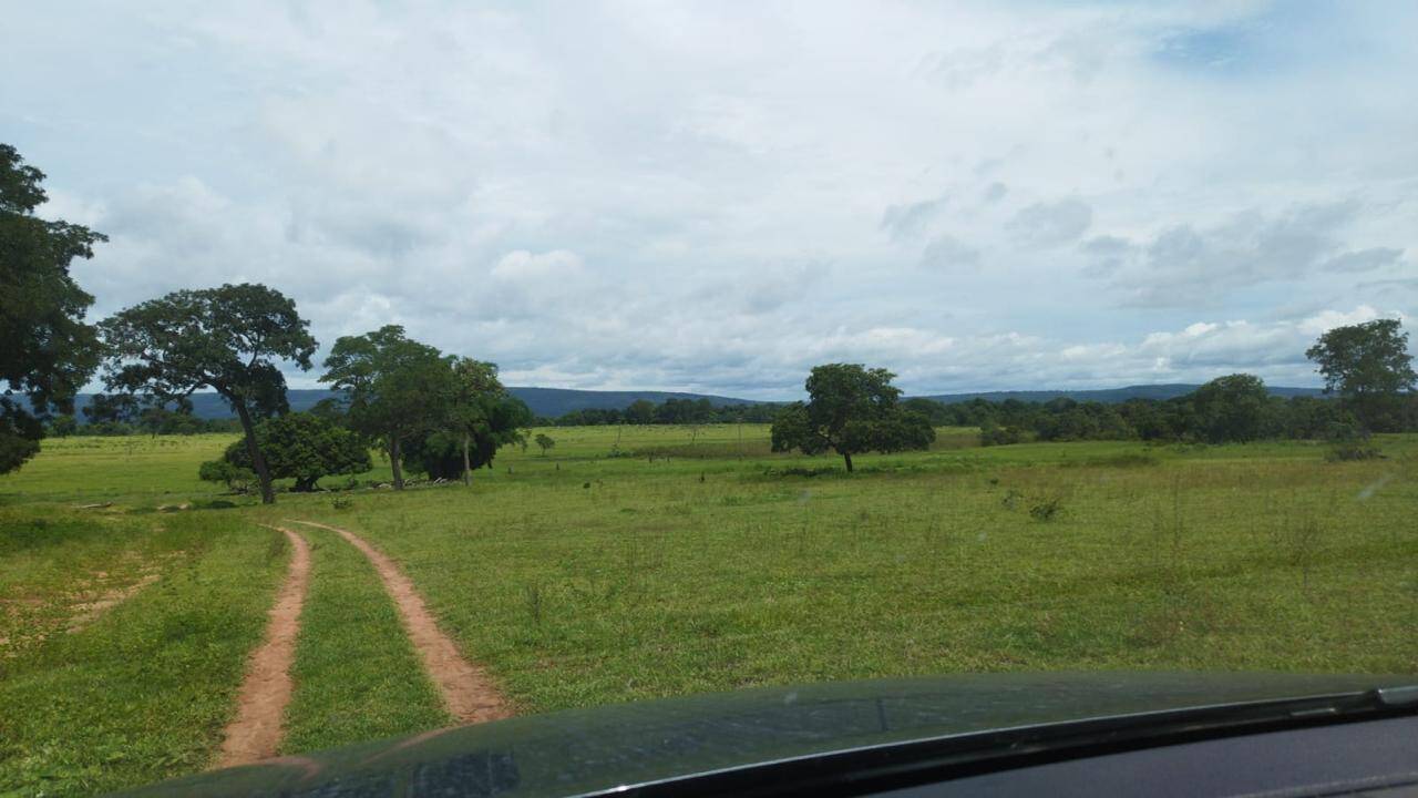 Terreno à venda - Foto 6