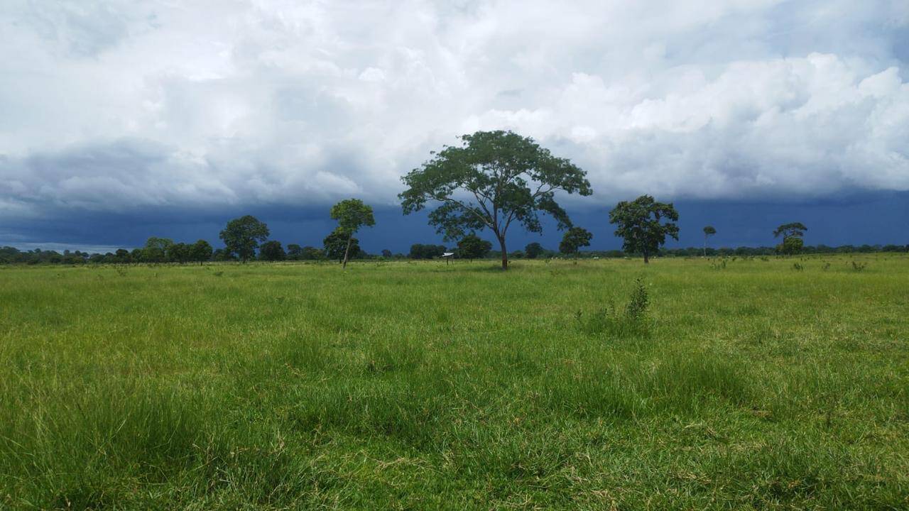 Terreno à venda - Foto 4