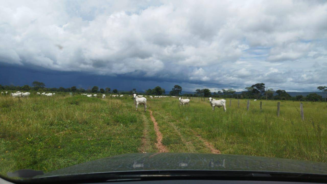 Terreno à venda - Foto 2