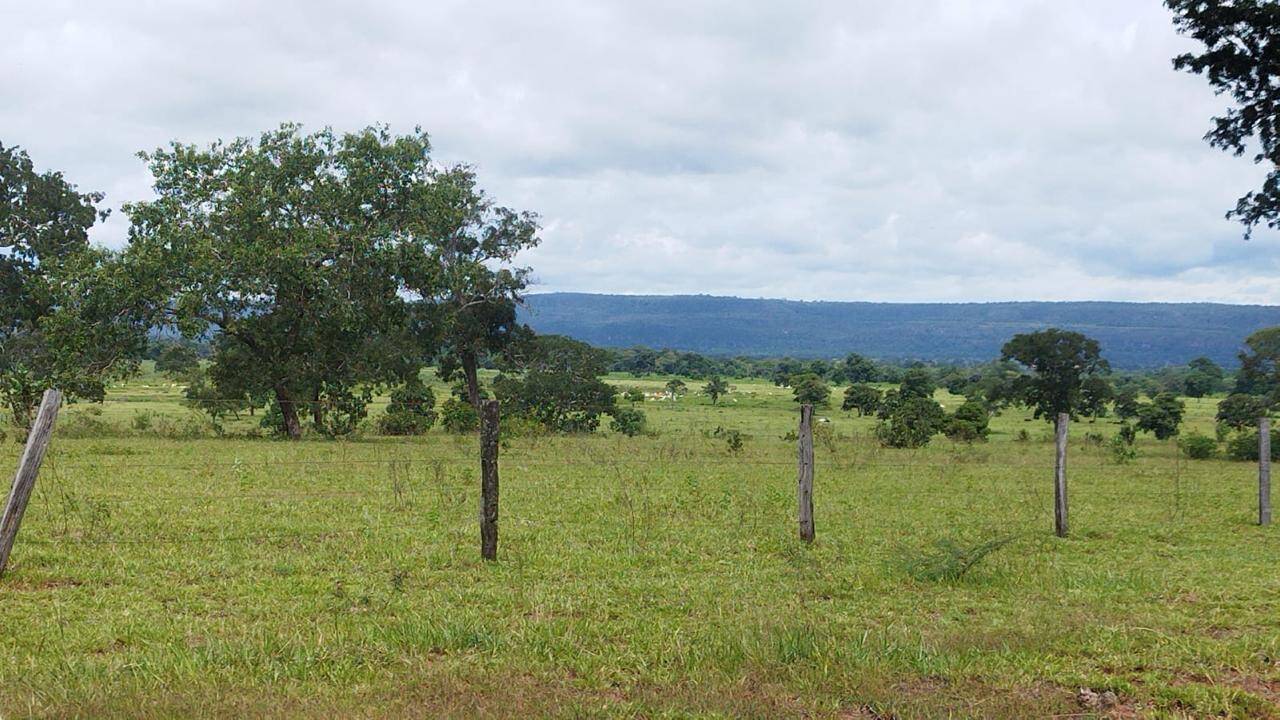 Terreno à venda - Foto 8