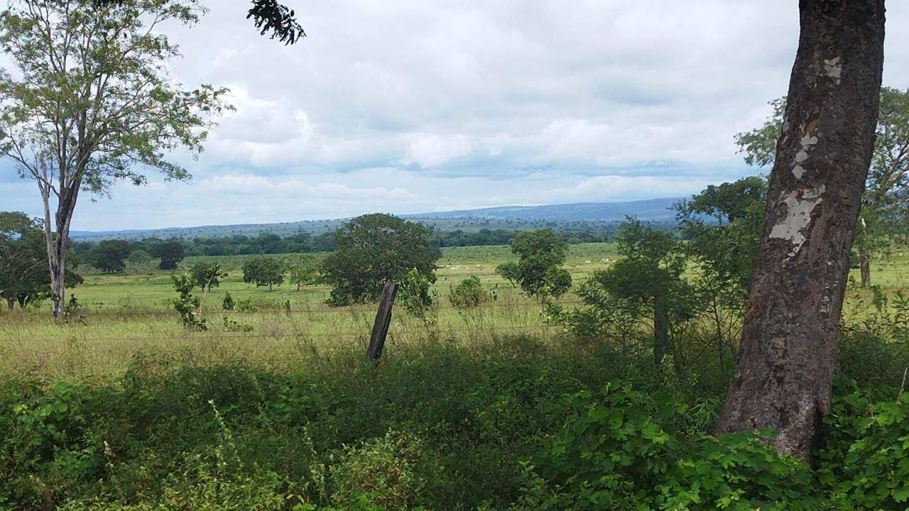 Terreno à venda - Foto 7