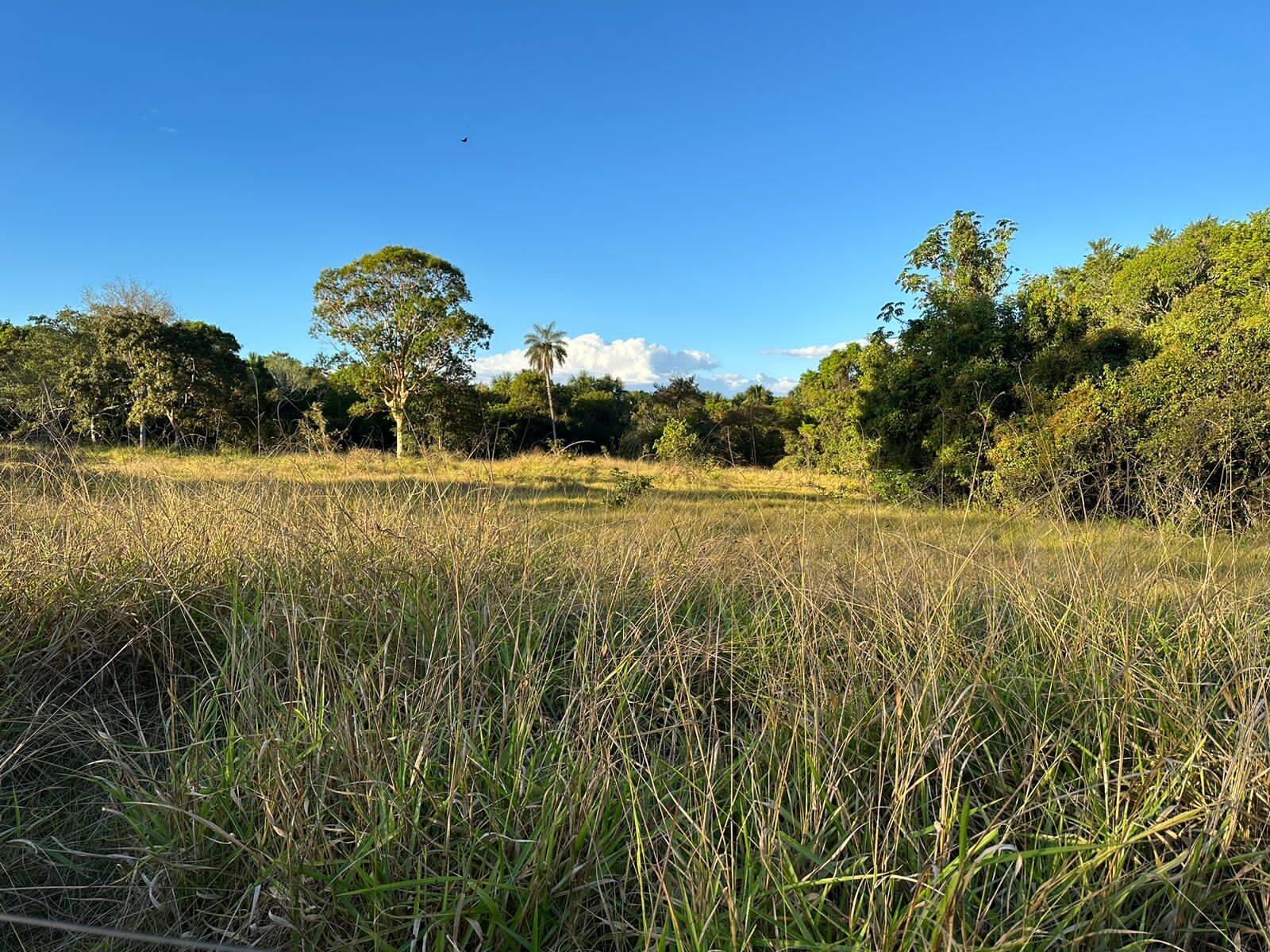 Terreno à venda, 4200m² - Foto 3