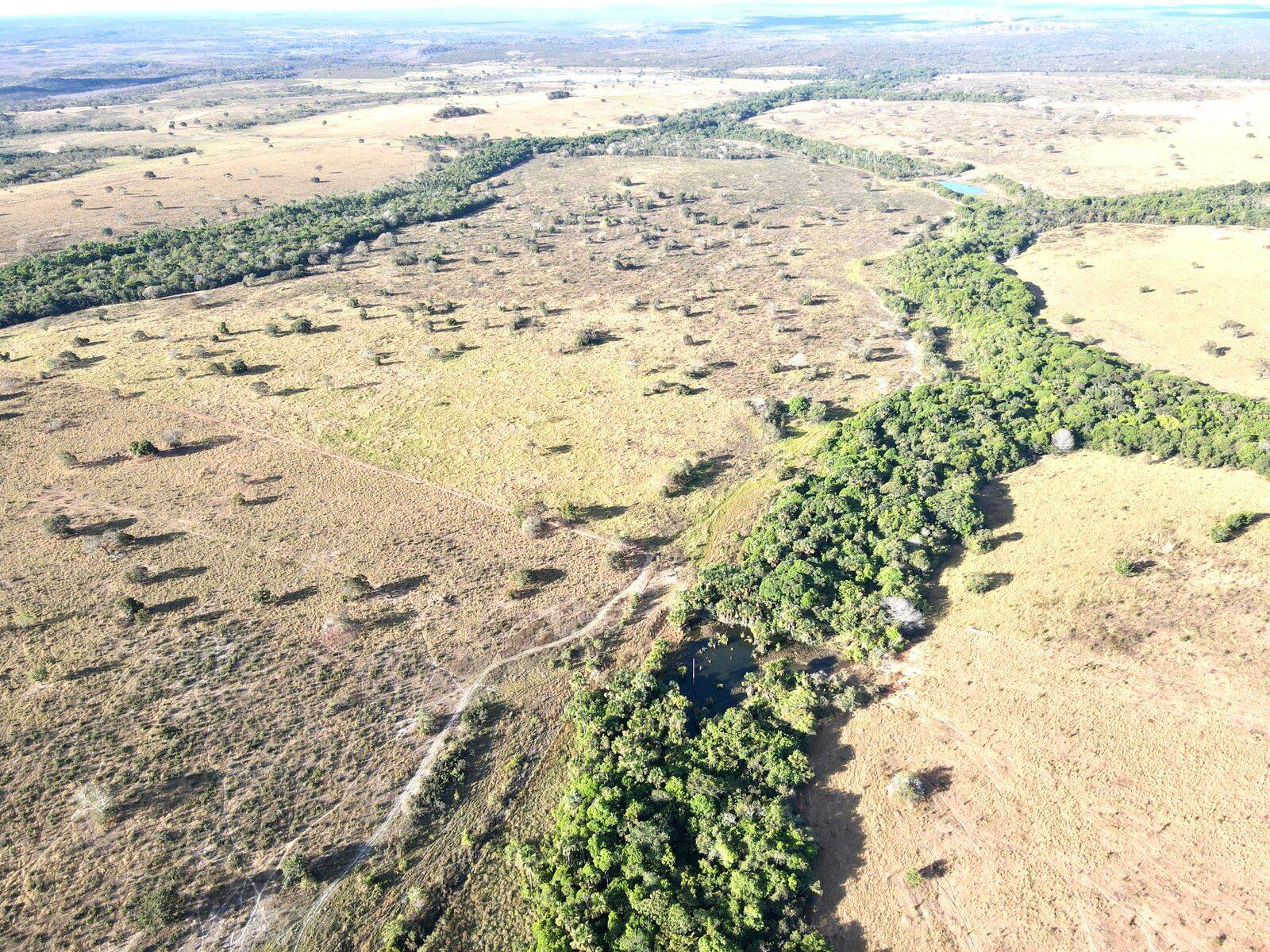 Terreno à venda, 4200m² - Foto 5