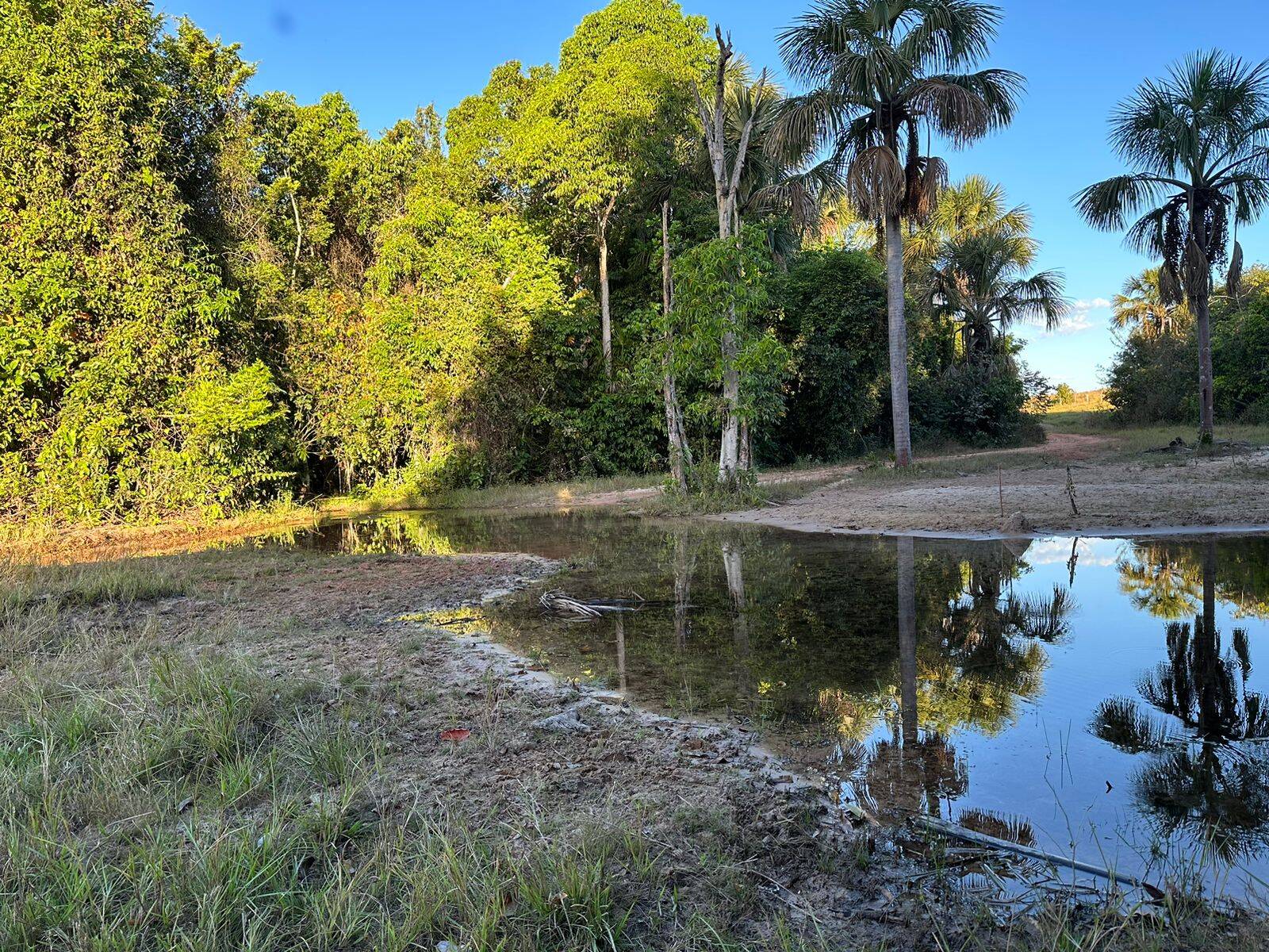 Terreno à venda, 4200m² - Foto 8